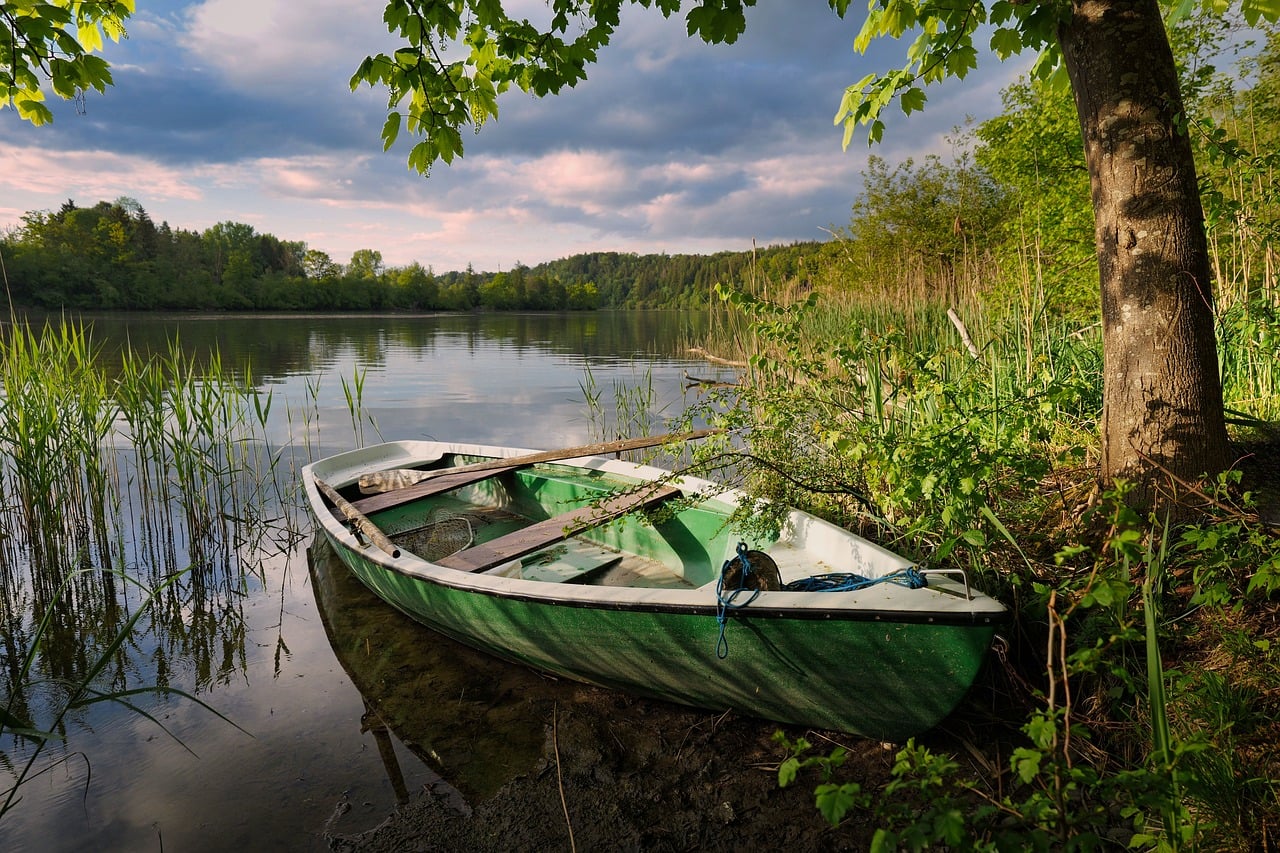 Naturrevier am Fluss