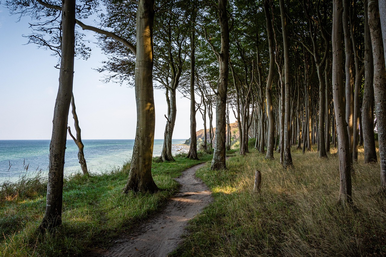 Ostsee in der Nähe