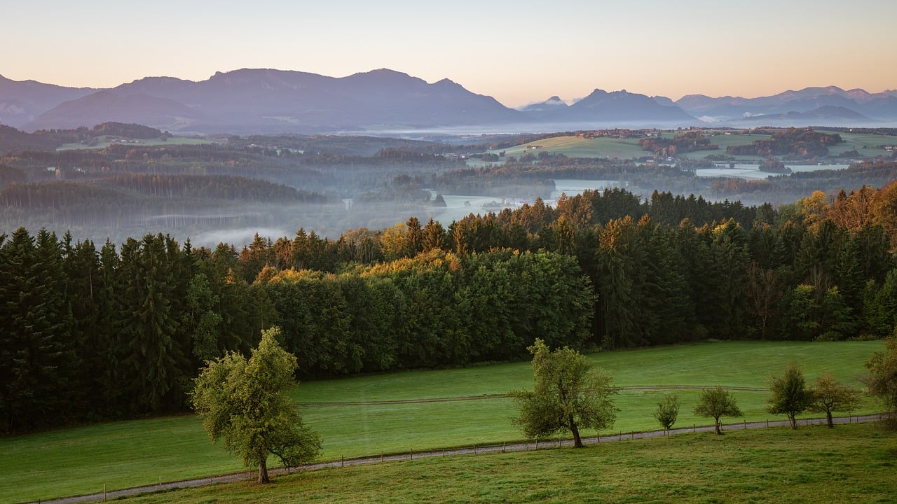 Jagdhotel Musterwald in waldreicher Umgebung